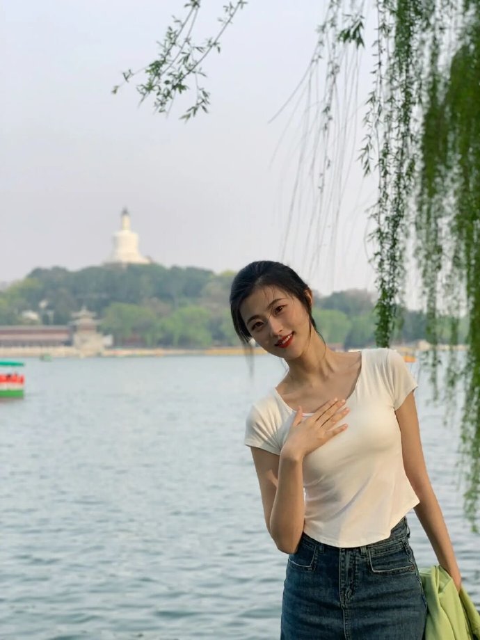 莲花楼 封面